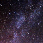 Chill out Chicken Little – it’s only the Perseids !